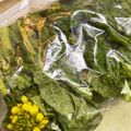 さんちゃん（╹◡╹）'s cooksnap of when they made 菜の花は 生のままで冷凍保存　❀.
