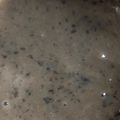 じゅんこりんりん's cooksnap of when they made 黒豆甘酒.