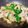 Janberry☆'s cooksnap of when they made 豚こまとニラごぼう味噌炒め.