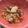 Reinaxoxo's cooksnap of when they made ■チキンといろいろお豆のトマト煮込み■.