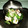 ＠ももこ's cooksnap of when they made わけぎとイカのぬた.
