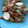 北のデビル。's cooksnap of when they made 簡単！ウインナーと卵とレタスの中華炒め.