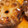 あおぽん0120's cooksnap of when they made 蓮根のはさみ焼き.