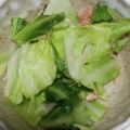 ヨシヨッシー's cooksnap of when they made キャベツとツナのポン酢和え.