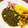 MaddyLilly's cooksnap of when they made インド料理カリフラワー炒め（アルーゴビ）.