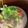 まみくりこ's cooksnap of when they made インド料理：白身魚のココナッツカレー.