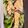 クッキングzzz's cooksnap of when they made シリコンスチーマー鮭の野菜蒸し(麺つゆ).