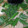 クック74GONW☆'s cooksnap of when they made だし取り不要☆白だしで簡単鍋つゆ.