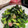 クックT5WTEC☆'s cooksnap of when they made 簡単副菜☆ほうれん草の海苔わさび和え.