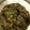 クック5G2PBU☆'s cooksnap of when they made ふきのとう味噌.