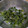 まーく71's cooksnap of when they made 生わかめの胡麻マヨネーズ和え.