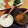 jagao's cooksnap of when they made 蒸し野菜＆簡単絶品ソース☆.