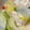 s06007's cooksnap of when they made 豆腐白菜スープ煮♪皮膚のかゆみに簡単薬膳.