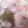 ぷっくりさん。's cooksnap of when they made 桜花を開かせる方法.