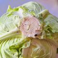 azbjbn's cooksnap of when they made レタス・キャベツ・白菜2カットで日持ち.