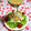 ☆★ひよこ★☆'s cooksnap of when they made ゴマだれ.