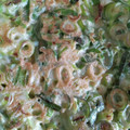 キロリン's cooksnap of when they made 青ネギだけで！ボリューム満点のネギ焼き.