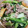 クックHBQ370☆'s cooksnap of when they made 牛肉切り落としと小松菜のオイスター炒め.