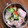Ruriluru's cooksnap of when they made きゅうりのハム巻き 簡単お弁当隙間埋め～.