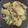 keicooon's cooksnap of when they made 豚肉とかぶのあんかけ.