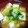 ぱぴぷぺぽち's cooksnap of when they made 豆腐とえのきの美味しいお汁.