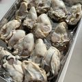 ゆかりりりー's cooksnap of when they made 加熱用牡蠣の個冷凍.