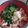 ponpon3's cooksnap of when they made 超カンタン 肉うどんの肉.