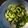 クックGGLXTL☆'s cooksnap of when they made 苦味無し＊ゴーヤの下処理.