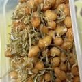 8ちゃん。's cooksnap of when they made 簡単おやつ⭐ぎすけ煮⭐.