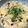あーにゃん。's cooksnap of when they made うどん入り！レンジで作る茶碗蒸し.