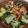 fu♪♪'s cooksnap of when they made mブロッコリーとツナの旨辛和え.