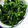 piro0707's cooksnap of when they made 簡単、美味しい♬ ほうれん草のナムル.
