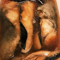 ジュビィ♡'s cooksnap of when they made めんつゆで簡単♪魚の煮付け.