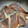 ねこしま25's cooksnap of when they made 新鮮！原木しいたけのバターソテー.