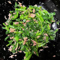 sakutakuhitoshu's cooksnap of when they made 病みつき注意！菜の花の胡麻和え.