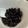rirukaっち's cooksnap of when they made staubで時短・簡単♪おせちに黒豆煮.
