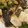 クックI3EZHM☆'s cooksnap of when they made 真カレイの煮付け.