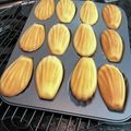 かめきちにゃんこ先生's cooksnap of when they made レモンカード消費★30分でマドレーヌ.