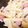 Ｓuuu's cooksnap of when they made じゃがいもとソーセージのガーリック炒め.