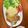 いかる。's cooksnap of when they made 揚げずにフライパンで簡単！チキン南蛮.