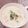 クックHG9V8Y☆'s cooksnap of when they made 簡単・小蕪のミルクスープ.