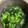 猫のミイヤ's cooksnap of when they made だしが決め手！菜の花とわかめのお吸い物.