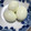みりん調味料's cooksnap of when they made 裏ワザ☆簡単につるんっ♪ゆで卵の作り方♡.