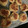 ハナフサまん's cooksnap of when they made 簡単さつまいもスコーン.