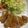 みにー2020's cooksnap of when they made ほっとくだけで簡単！柔らか鶏チャーシュー.