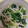 でりーK's cooksnap of when they made 給食の「ほうれんそうの和え物」♡シンプル.