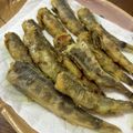 伊達こまち's cooksnap of when they made メヒカリの唐揚げ.