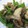 kabana's cooksnap of when they made 舞茸のバター醤油炒め.