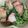 クックHDP0M2☆'s cooksnap of when they made 簡単タコと菜の花のカラシ和え.