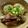 はなぴっち's cooksnap of when they made やっぱミソ味でしょ！牛スジ大根☆.